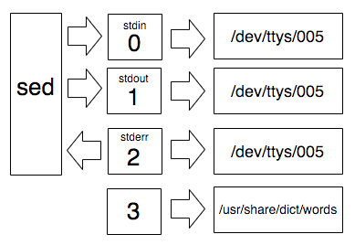 The list of file descriptors including the standard streams from 0 to 2 on the left and an extra descriptor (3) which points to /usr/share/dict/words. Descriptor 0 (`stdin`) points to the same file.