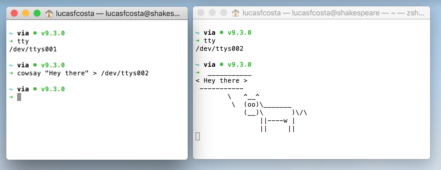 A drawing showing the output of `cowsay` being transferred from one terminal to another by redirecting it to the other terminal's TTY file