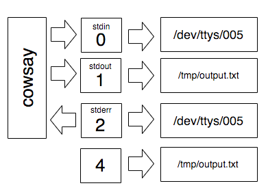 The list of file descriptors including the standard streams from 0 to 2 on the left and an extra descriptor (3) which points to /usr/share/dict/words. Descriptor 0 (`stdin`) points to the same file.