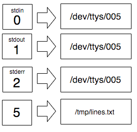 On the left the list of file descriptors from 0 to 2 and an extra 5. Above 0, 1, and 2 we can see `stdin`, `stdout`, and stderr` and they point to the tty file. The file descriptor 5 points to /tmp/lines.txt