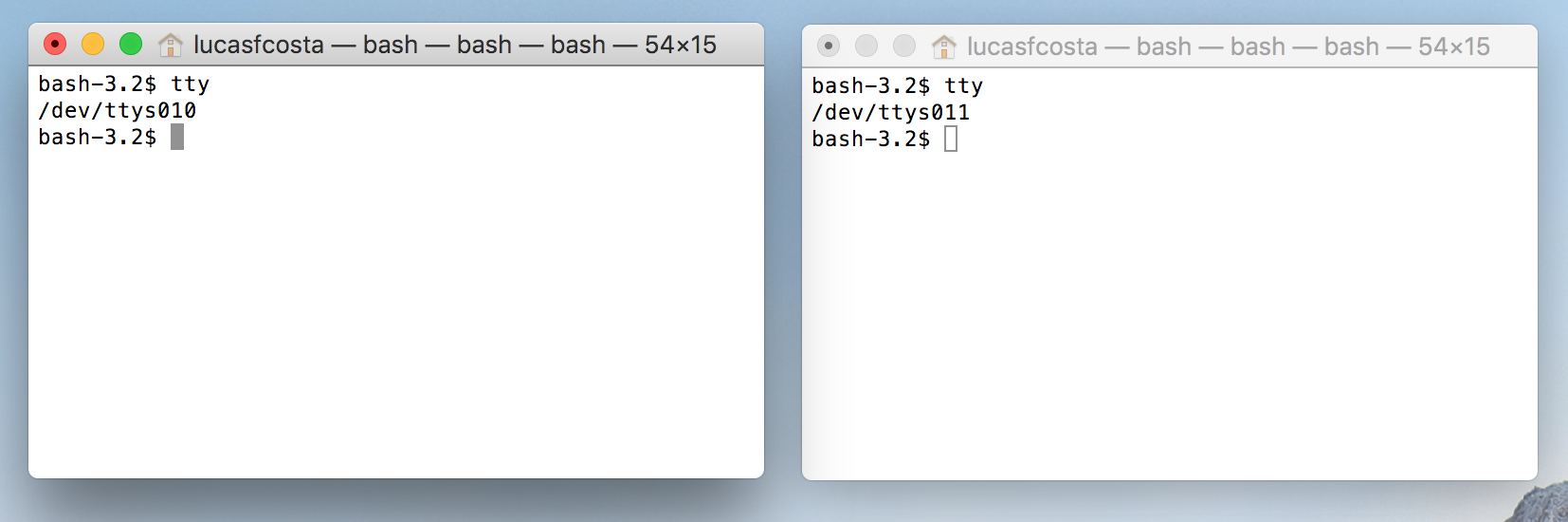 Two terminal windows open and the result of the tty command in each one of them showing the path to two different files as the output.